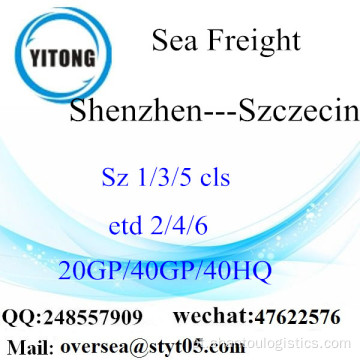 Shenzhen Port Sea Freight Shipping Para Szczecin